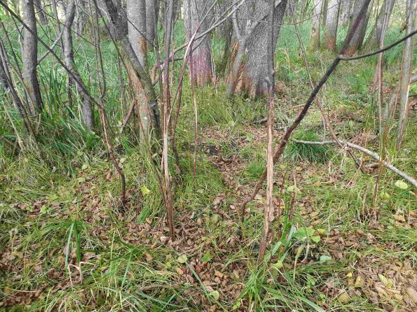 PA_AT_KOB_otheractivitysignphoto_20220907154730359