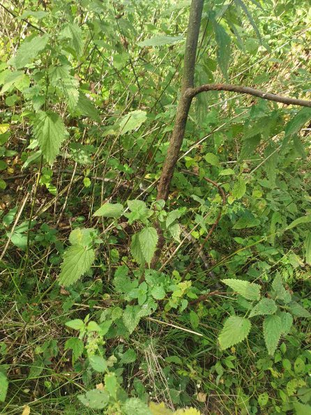 PA_AT_KOB_otheractivitysignphoto_20220907155830272