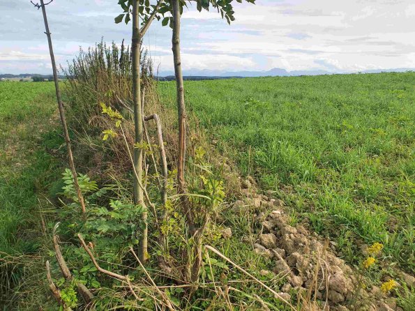 PA_AT_KOB_otheractivitysignphoto_20220907164609364