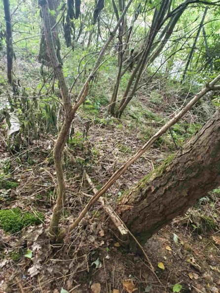 PA_AT_KOB_otheractivitysignphoto_20220907165211056