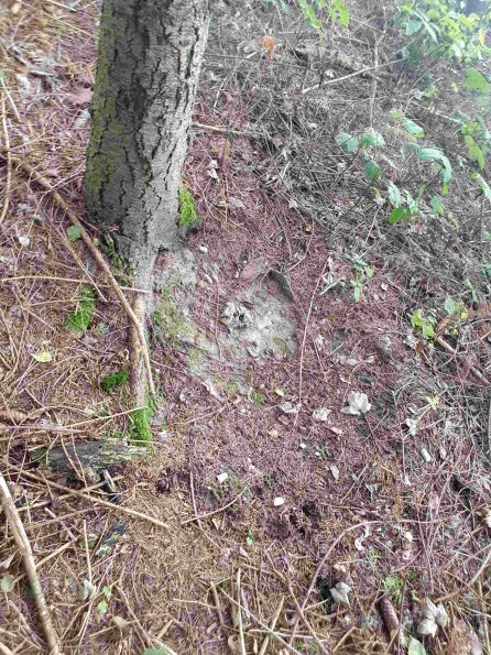 PA_AT_KOB_otheractivitysignphoto_20220907165322811