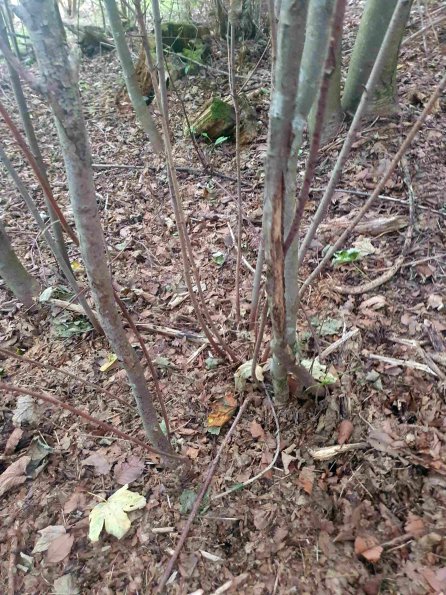 PA_AT_KOB_otheractivitysignphoto_20220907171158695