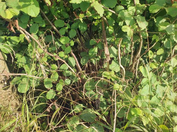 PA_AT_KOB_otheractivitysignphoto_20220907173127753