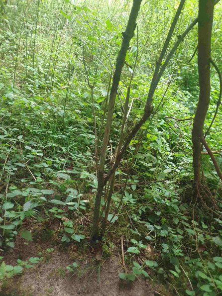 PA_AT_KOB_otheractivitysignphoto_20220907173842961