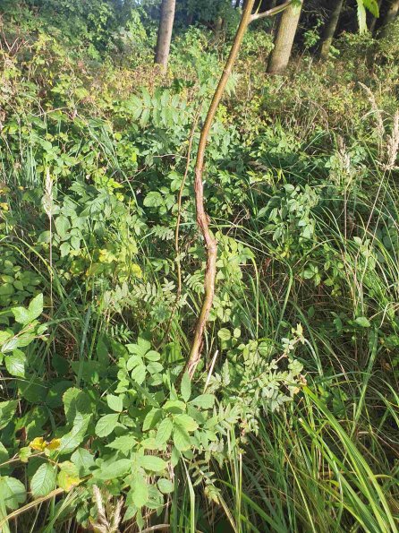 PA_AT_KOB_otheractivitysignphoto_20220907180058849