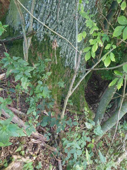 PA_AT_KOB_otheractivitysignphoto_20220907180454951