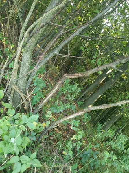 PA_AT_KOB_otheractivitysignphoto_20220907180709103