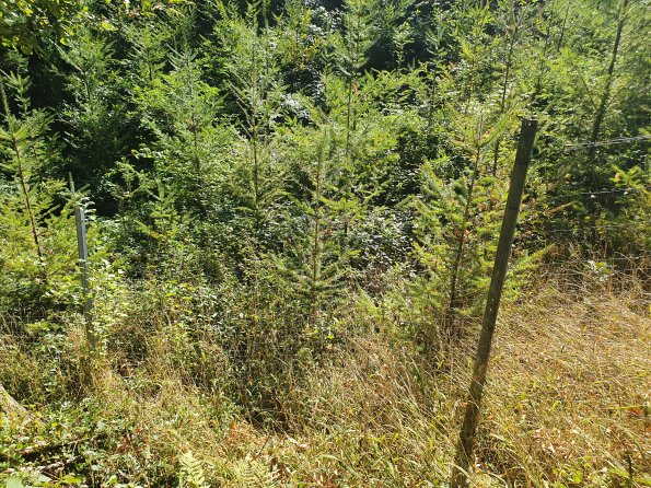 PA_AT_KOB_photobarrier_20210925124201202_1653304154