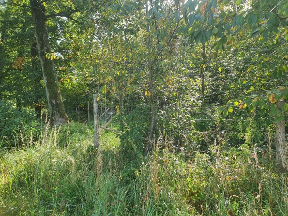 PA_AT_KOB_photobarrier_20210926104006981_1653304143