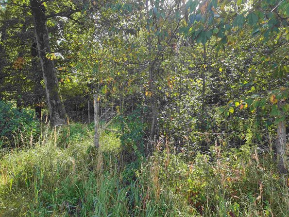 PA_AT_KOB_photobarrier_20210926104006981_1663598435