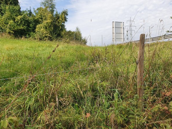 PA_AT_KOB_photobarrier_20210926130821176_1653305116