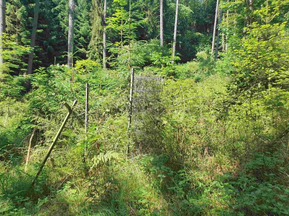 PA_AT_KOB_photobarrier_20220611144057646