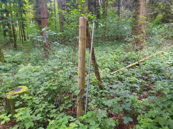 PA_AT_KOB_photobarrier_20220613114633252