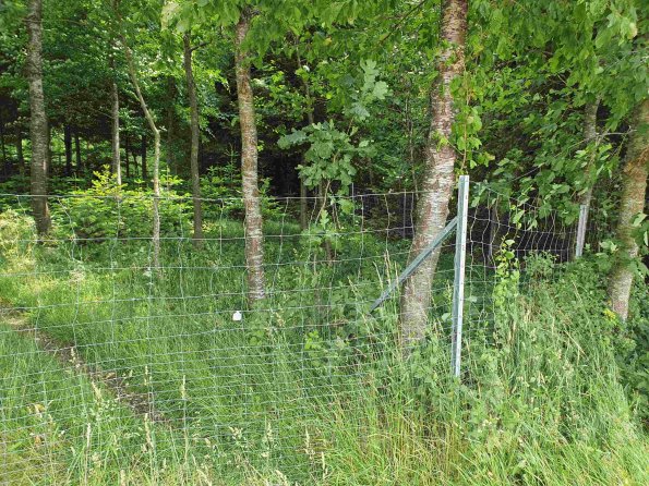 PA_AT_KOB_photobarrier_20220613120535477