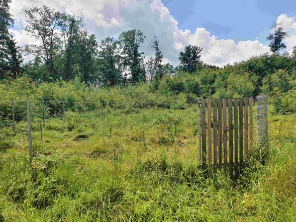 PA_AT_KOB_photobarrier_20220613132013234