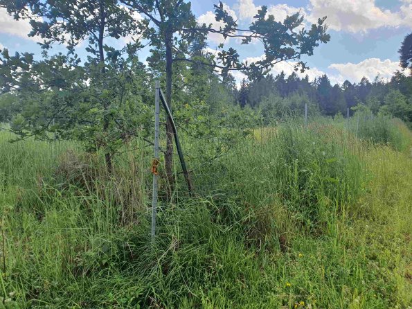 PA_AT_KOB_photobarrier_20220613154549097