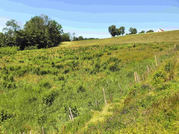 PA_AT_KOB_photofromsurroundingbarrier_20220612120117987