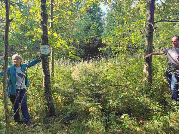 PA_AT_KOB_spatialcommentphoto_20210926113107234_1663598384