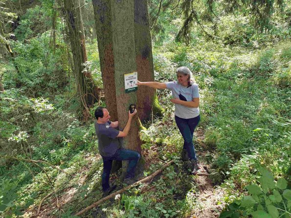 PA_AT_KOB_spatialcommentphoto_20210926130053755_1663598397