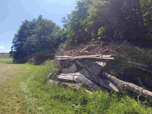 PA_AT_KOB_spatialcommentphoto_20220612135347002