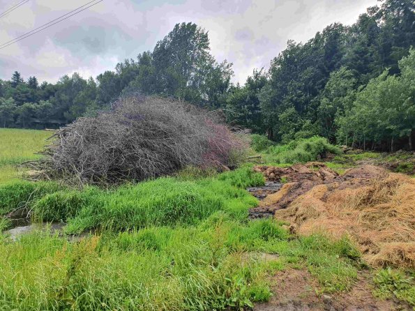 PA_AT_KOB_spatialcommentphoto_20220613110929944