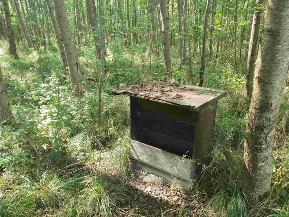 PA_AT_KOB_spatialcommentphoto_20220907122327045