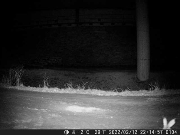 DSCF0104_th_1660216057