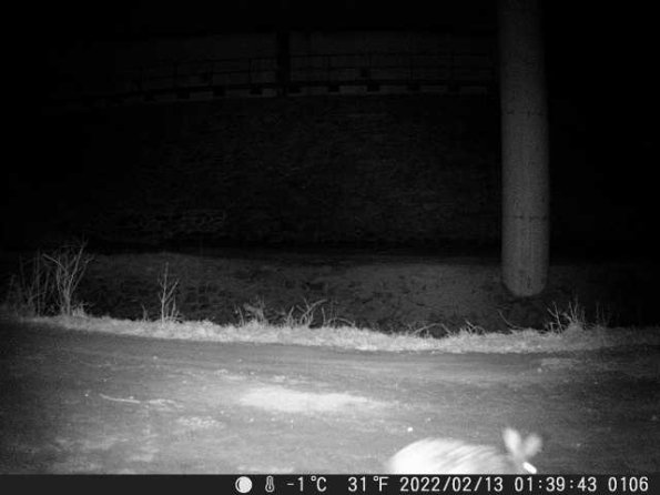 DSCF0106_th_1660216057