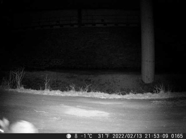 DSCF0165_th_1660216056