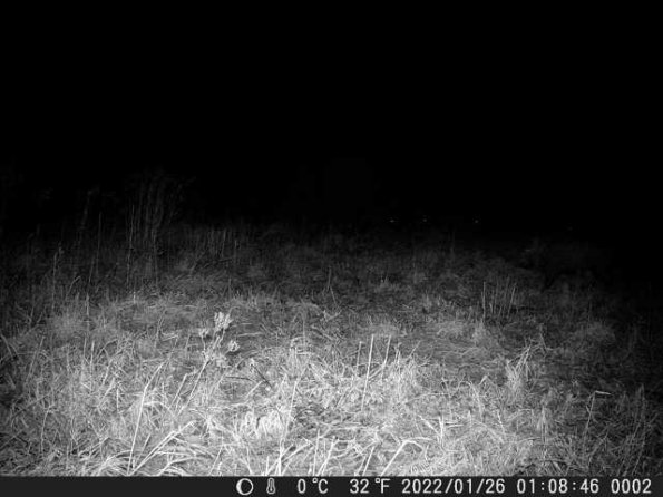 DSCF0002_th_1660215309