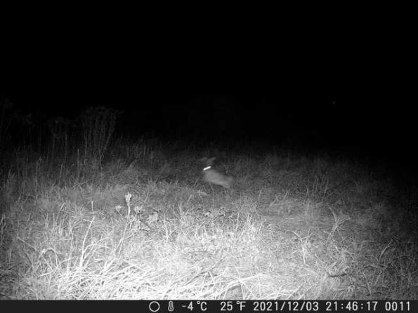 DSCF0011_th