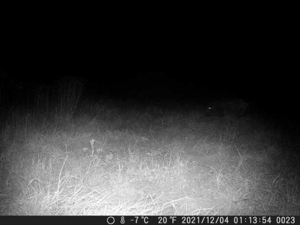 DSCF0023_th_1660215308