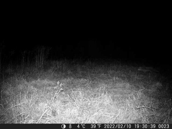 DSCF0023_th_1660215397