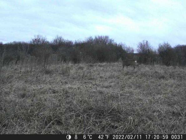 DSCF0031_th_1660215397