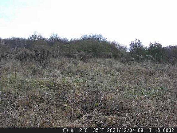 DSCF0032_th_1660215311