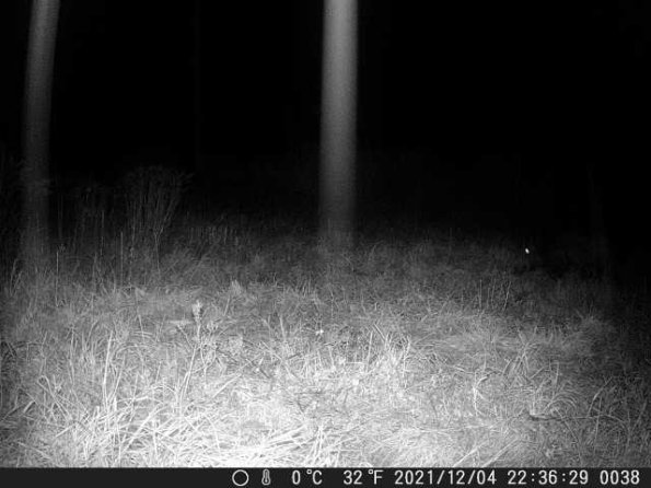 DSCF0038_th_1660215313