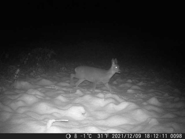 DSCF0098_th_1660215309