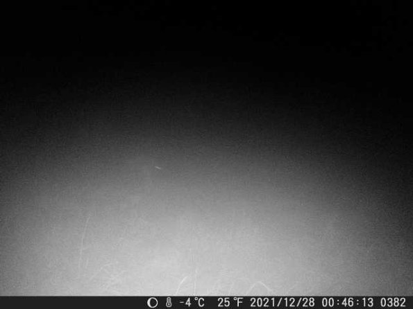 DSCF0382_th