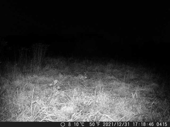 DSCF0415_th