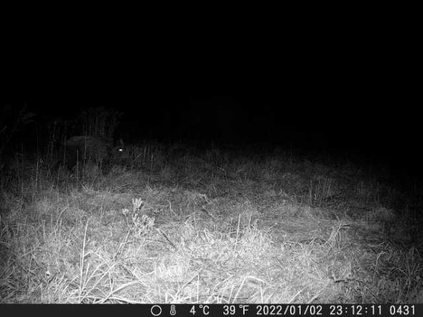 DSCF0431_th