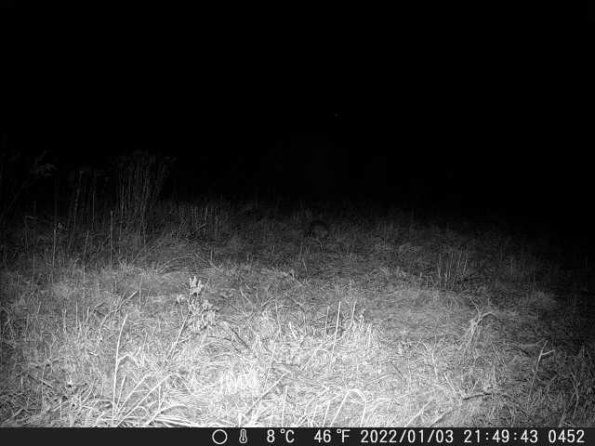 DSCF0452_th