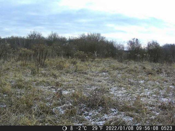 DSCF0523_th_1660215367