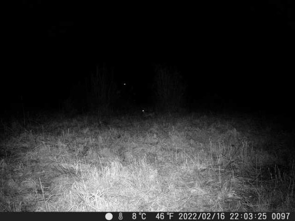 DSCF0097_th_1660214023