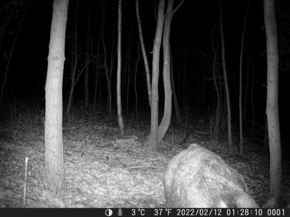 DSCF0001_th_1660213142