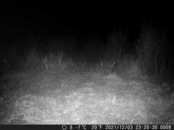 DSCF0008_th_1660213718