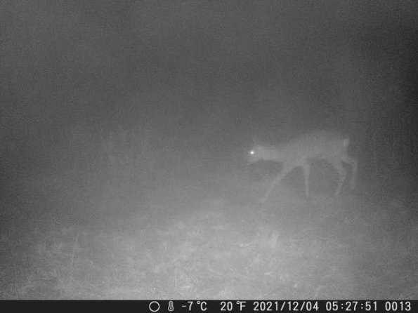 DSCF0013_th_1660213719