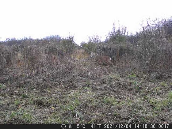 DSCF0017_th_1660213722