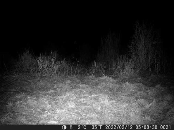 DSCF0021_th_1660213905