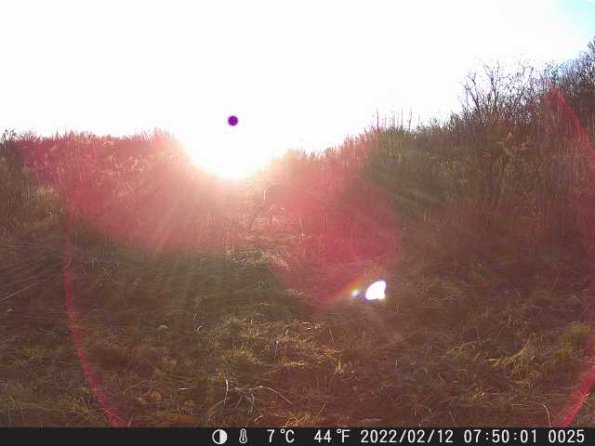 DSCF0025_th_1660213895