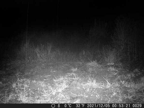 DSCF0029_th_1660213719